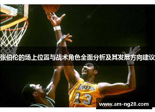 张伯伦的场上位置与战术角色全面分析及其发展方向建议