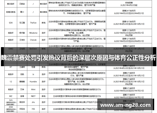 魏震禁赛处罚引发热议背后的深层次原因与体育公正性分析