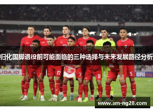 归化国脚退役前可能面临的三种选择与未来发展路径分析