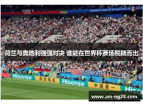 荷兰与奥地利强强对决 谁能在世界杯赛场脱颖而出 荷兰与奥地利强强对决 谁能在世界杯赛场脱颖而出